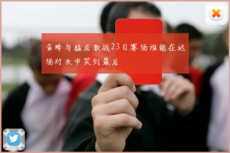 黄蜂与猛龙激战23日赛场谁能在这场对决中笑到最后