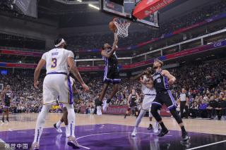 本土球员的 本土球员的